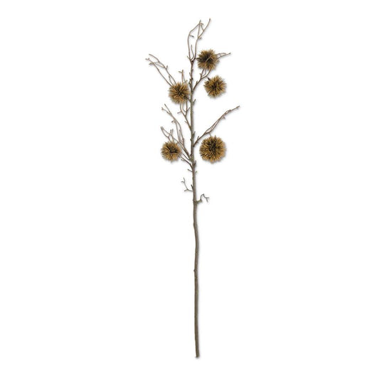 30" Brown Chestnut Ball Stem