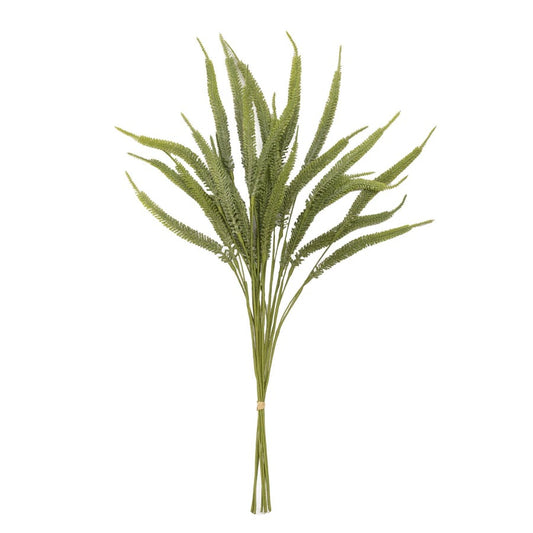 21.5" Green Foxtail Bundle
