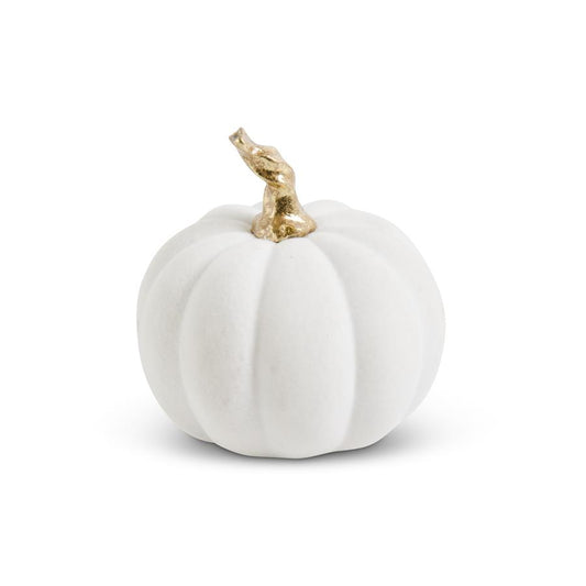 White Velvet Pumpkin w/ Twisted Stem