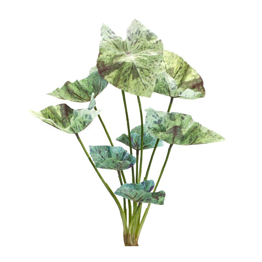 18.5" Caladium Bush