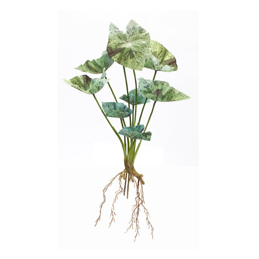18.5" Caladium Bush