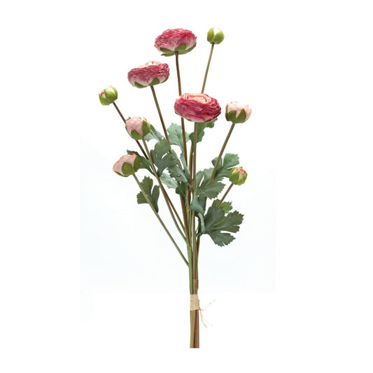 23" Mixed Pink Ranunculus