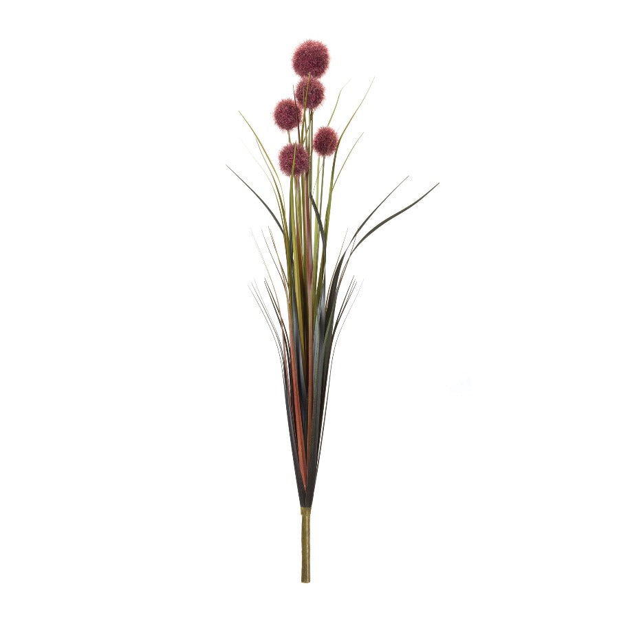 28" Allium Bush