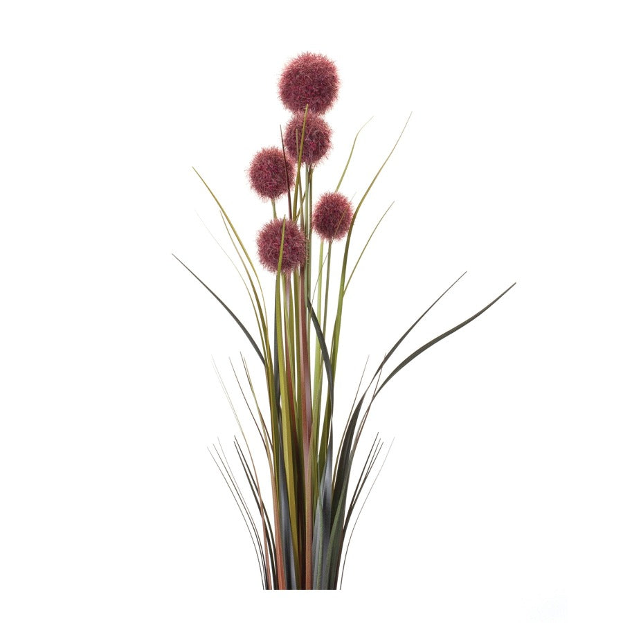 28" Allium Bush
