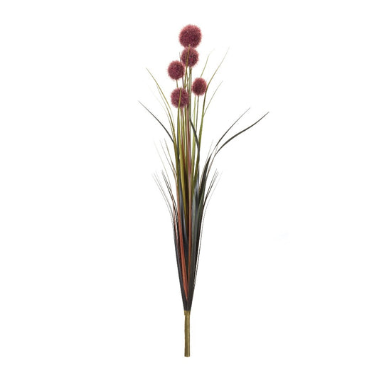 28" Allium Bush