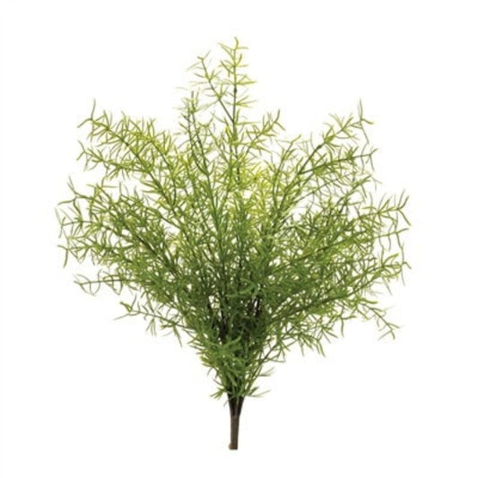 18.5" Asparagus Fern Bush