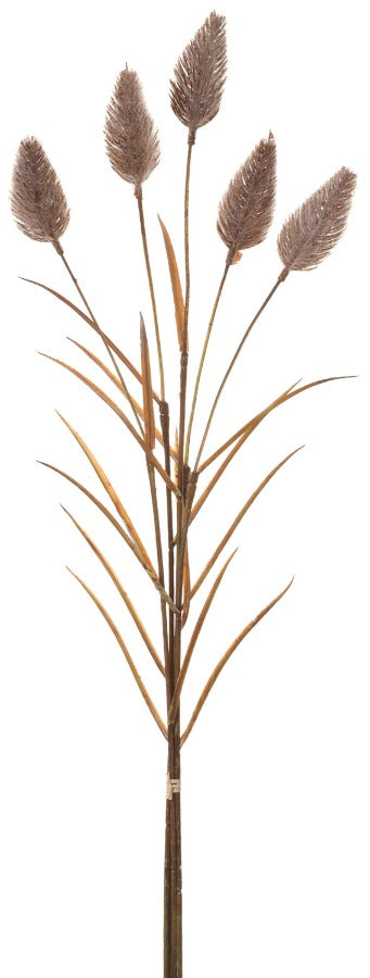 24" Foxtail Bundle