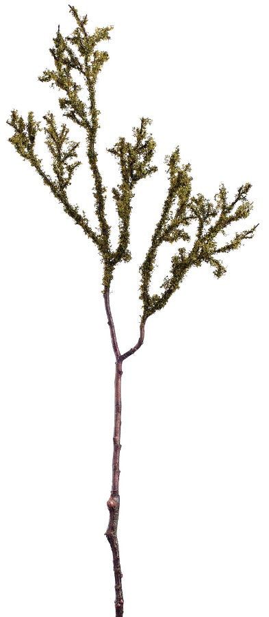 25" Dark Green Moss Spray