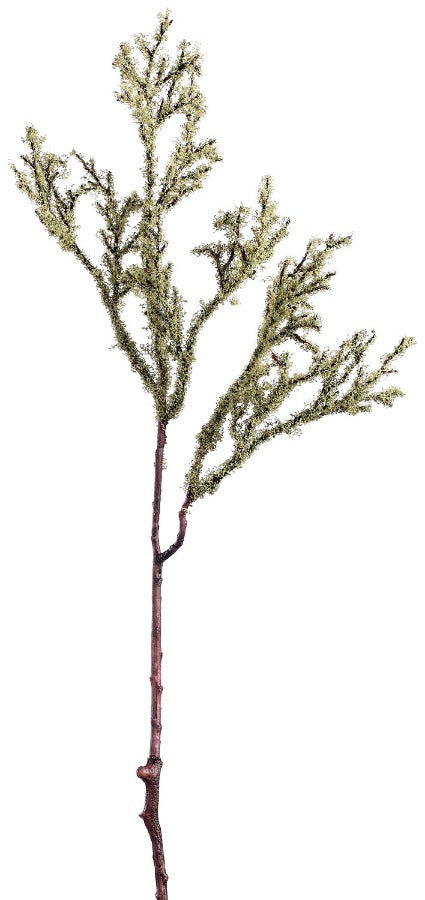 25" Gray Moss Spray