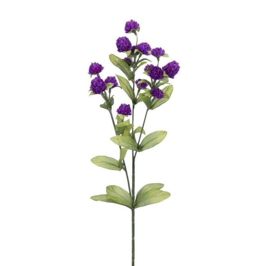 27" Purple Wild Clover