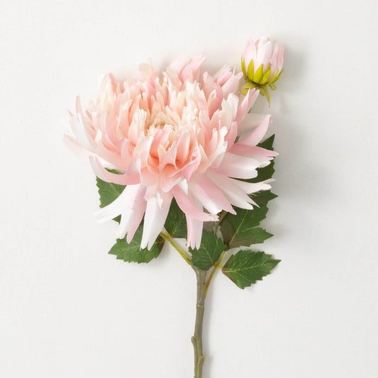 White Pale Pink Dahlia Spray