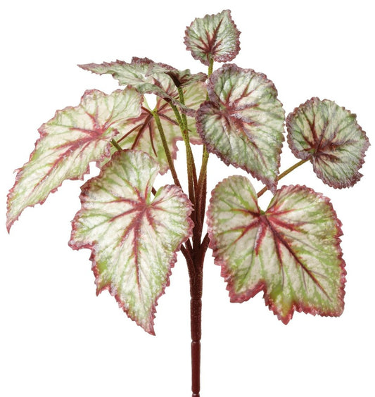 11.25" Begonia Leaf Bush