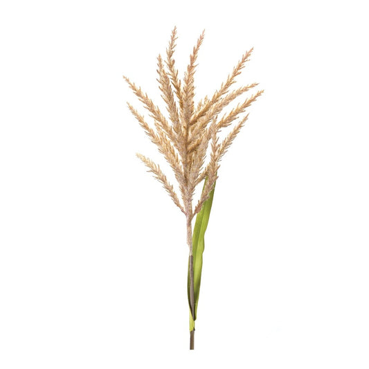 34" Astilbe Stem