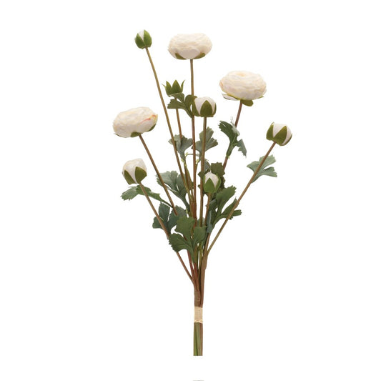 23" Blush Ranunculus