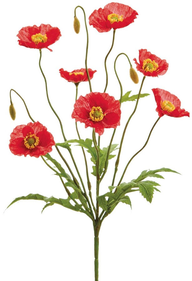 15" Poppy Bush
