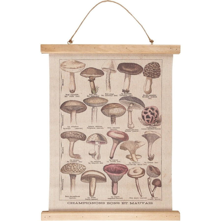Mushroom Species Wall Scroll