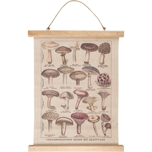 Mushroom Species Wall Scroll