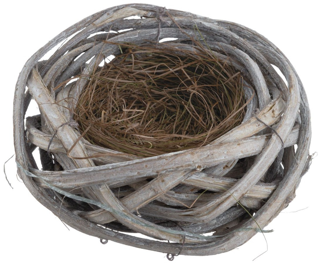 Whitewashed Bird's Nest