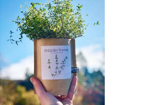 Garden in a Bag | English Thyme