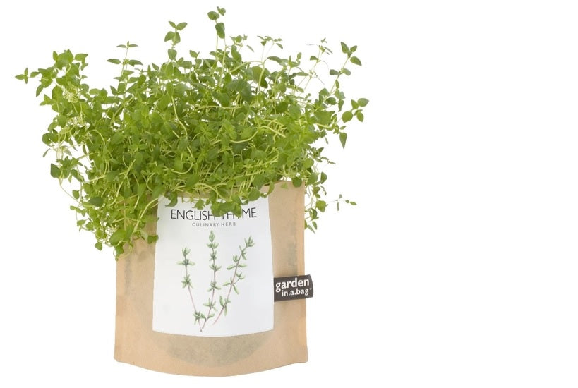 Garden in a Bag | English Thyme