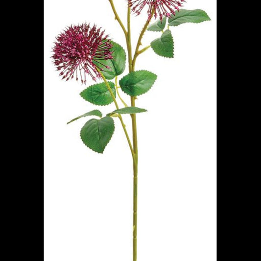 29" Allium Spray