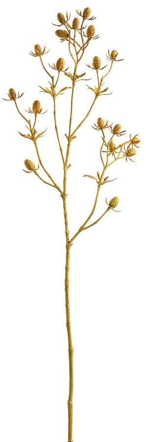 24" Eryngium Spray