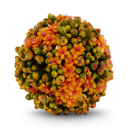 Orange Kalanchoe Ball