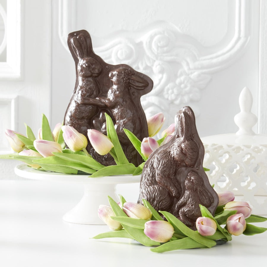 Momma & Baby Bunnies Chocolate Mold