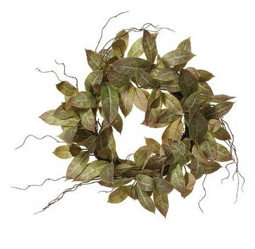 24" Schefflera Arboricola Variegata Leaf Wreath Green White