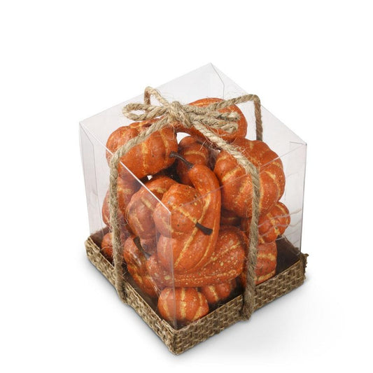 Box of 21 Small Gourds & Pumpkins