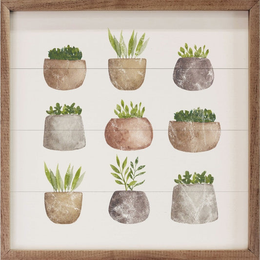 Nine Succulents Framed Picture