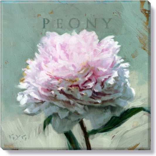 Peony Giclee Canvas Wall Art