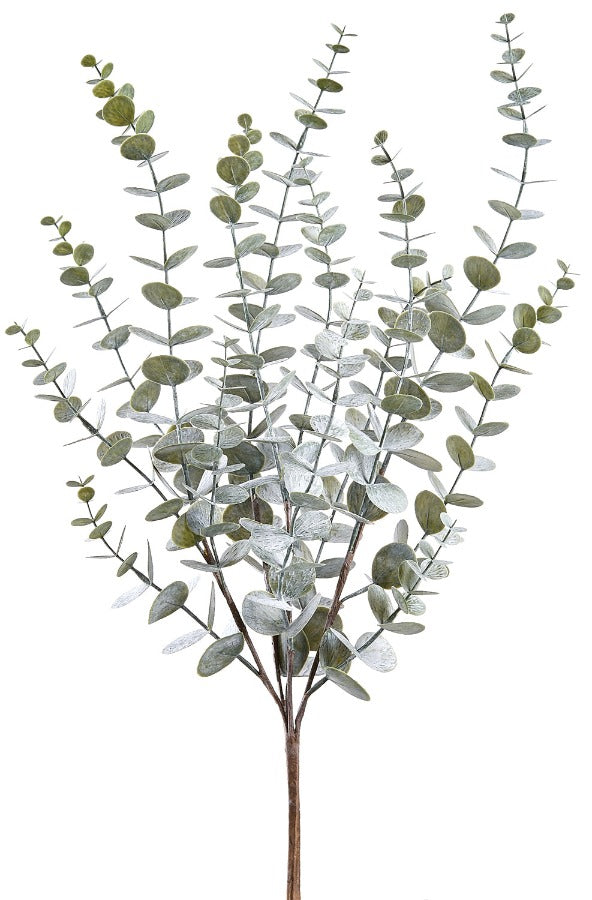 25" Eucalyptus Bush