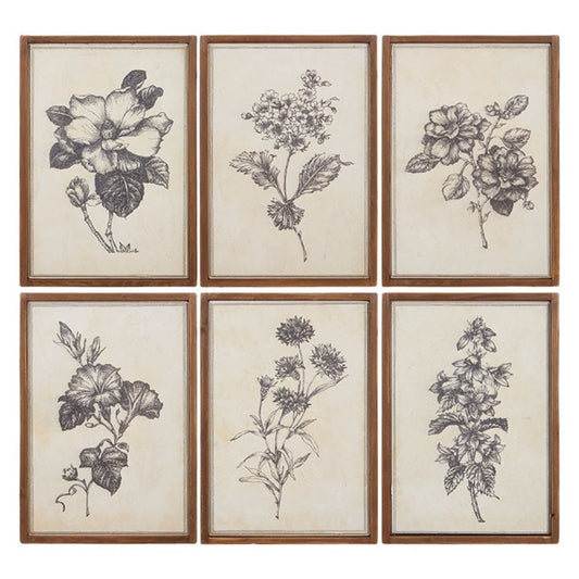 Wood Framed Floral Prints