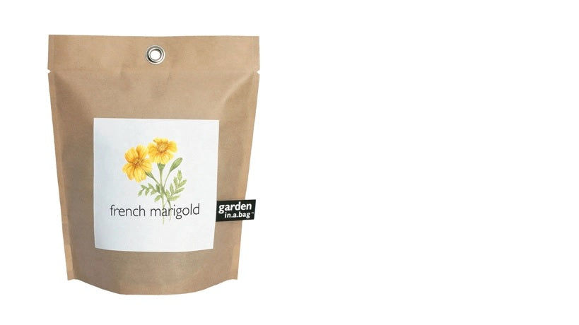 Garden in a Bag | French Marigold