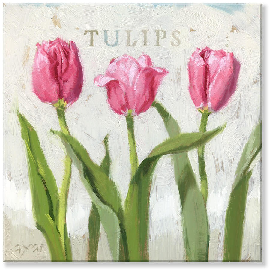 Tulip Trio Giclee Canvas Wall Art