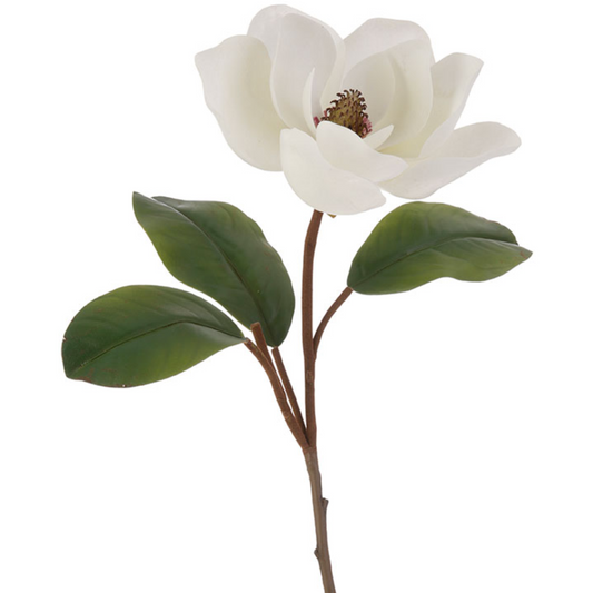 32” Magnolia Stem