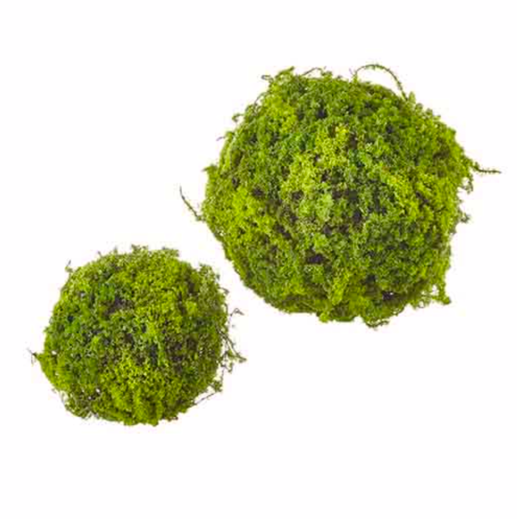 Moss Ball (Set of Two)